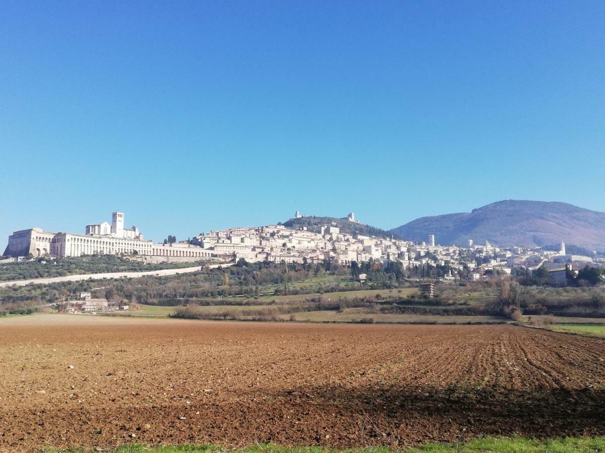 Villa Gina Assisi Buitenkant foto